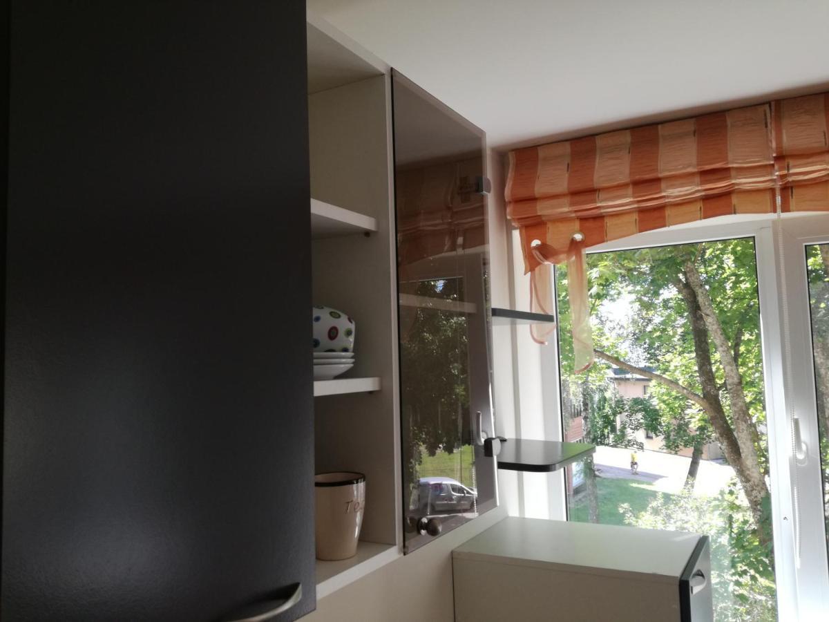 Apartment For Rent Druskininkai Ngoại thất bức ảnh